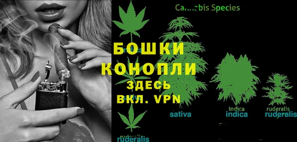 амф Балахна