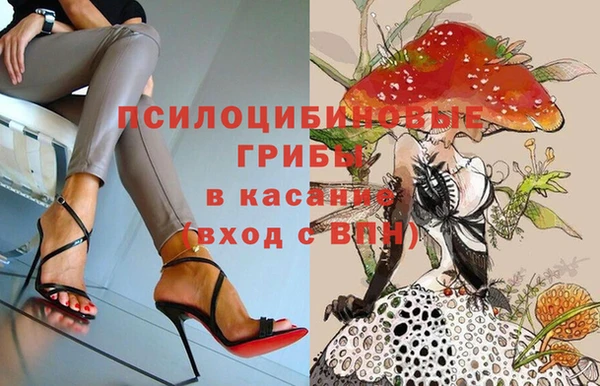 амф Балахна