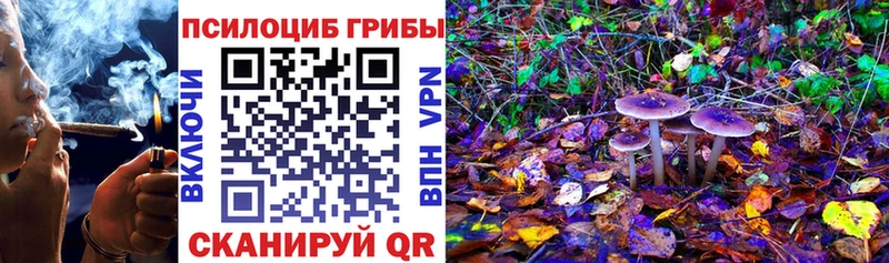 Галлюциногенные грибы GOLDEN TEACHER Грязовец