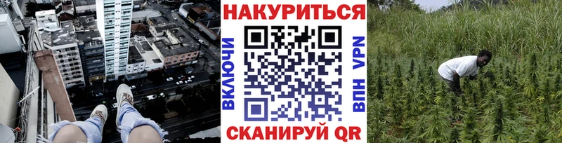 купить наркотики сайты  Грязовец  Конопля AK-47 
